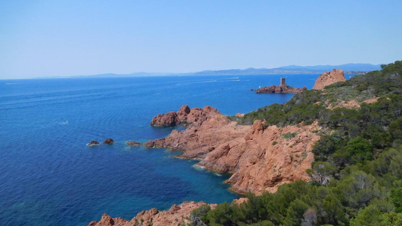 Grand Appartement Dans Maison Avec Piscine Privee Frejus Luaran gambar